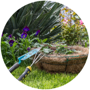 mantenimiento de jardines