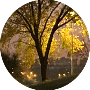 Iluminación de jardines