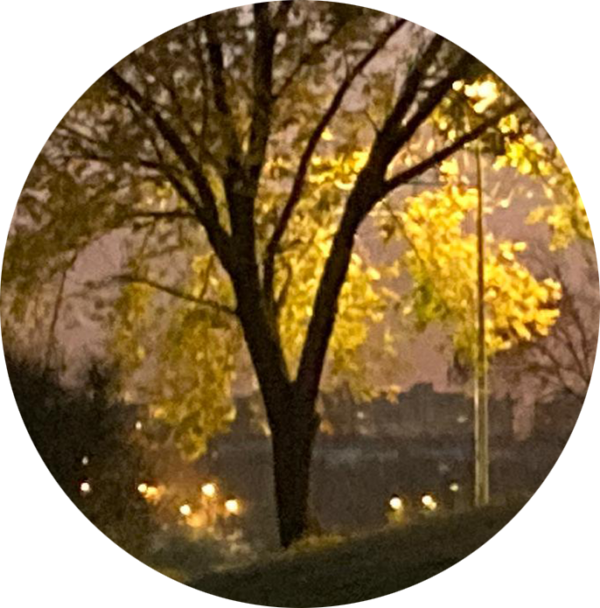 Iluminación de jardines