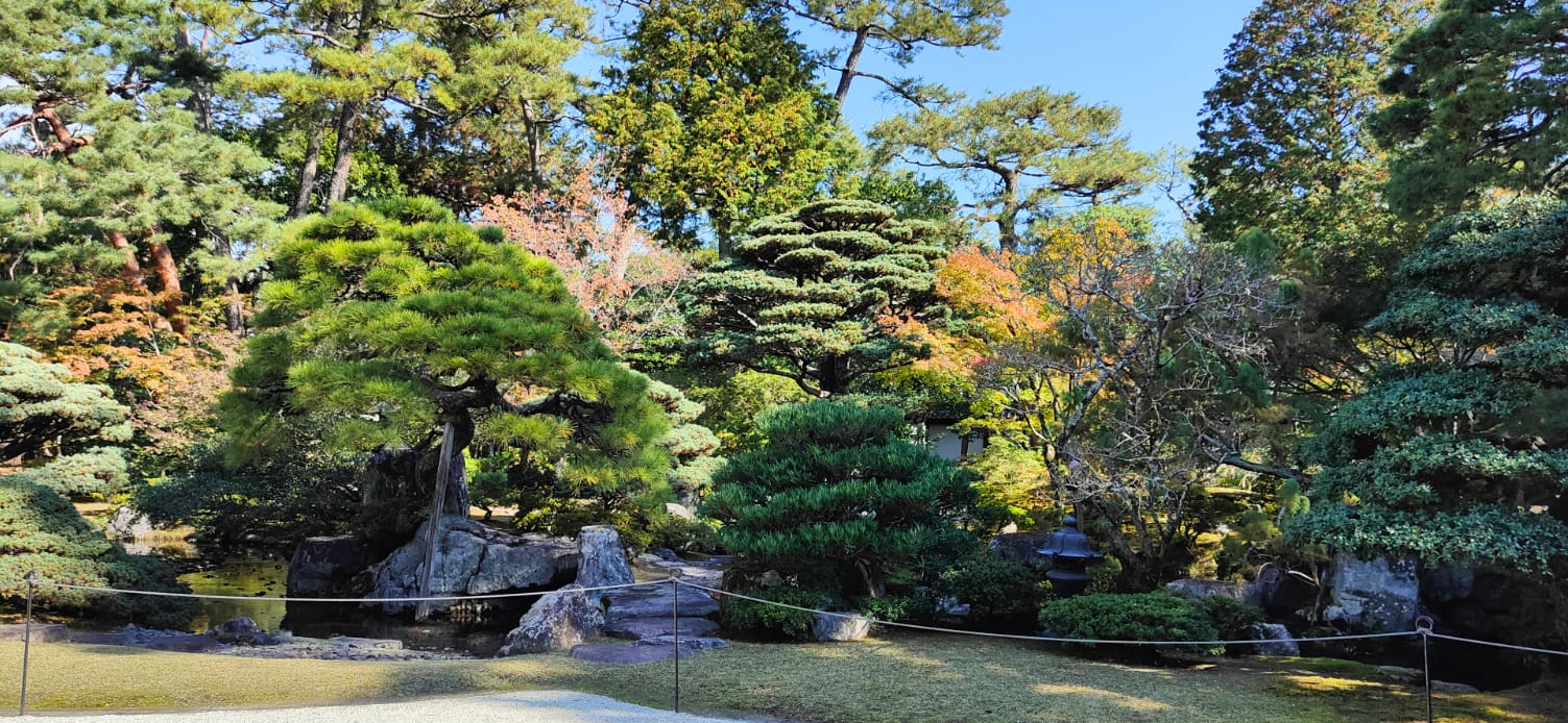 Percepción del jardín