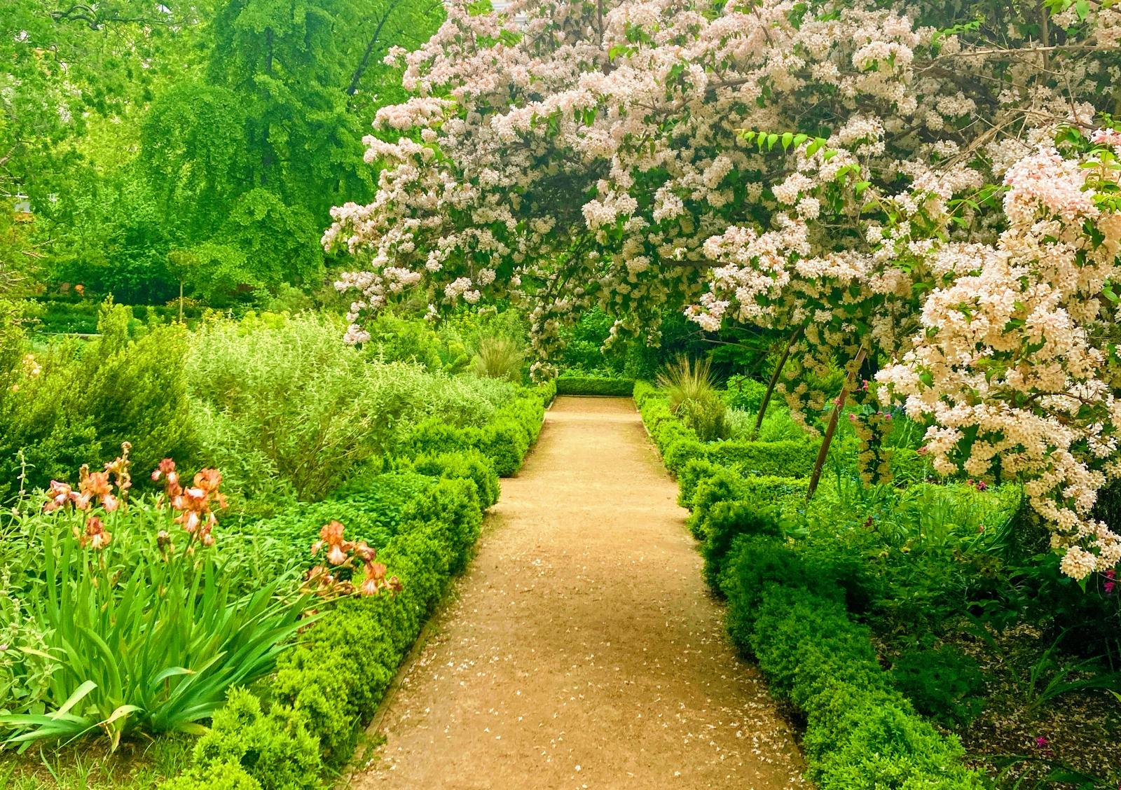 Principios básicos de composición en el diseño del jardín