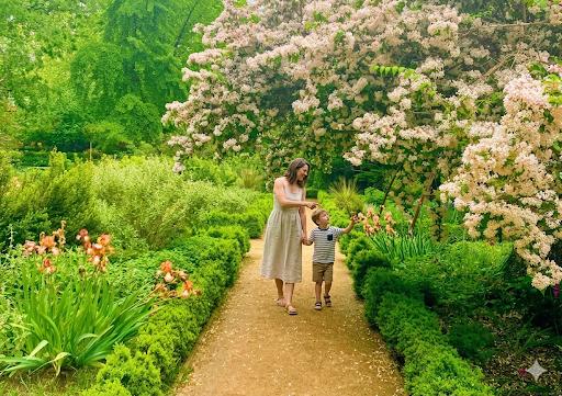 Principios básicos de composición en el diseño del jardín