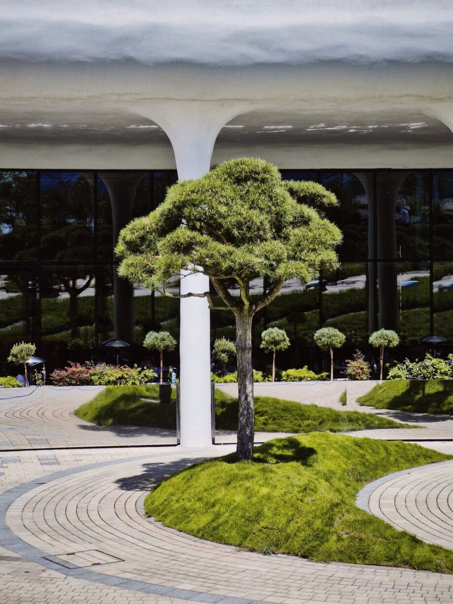 Efecto psicológico de las líneas en la composición del jardín