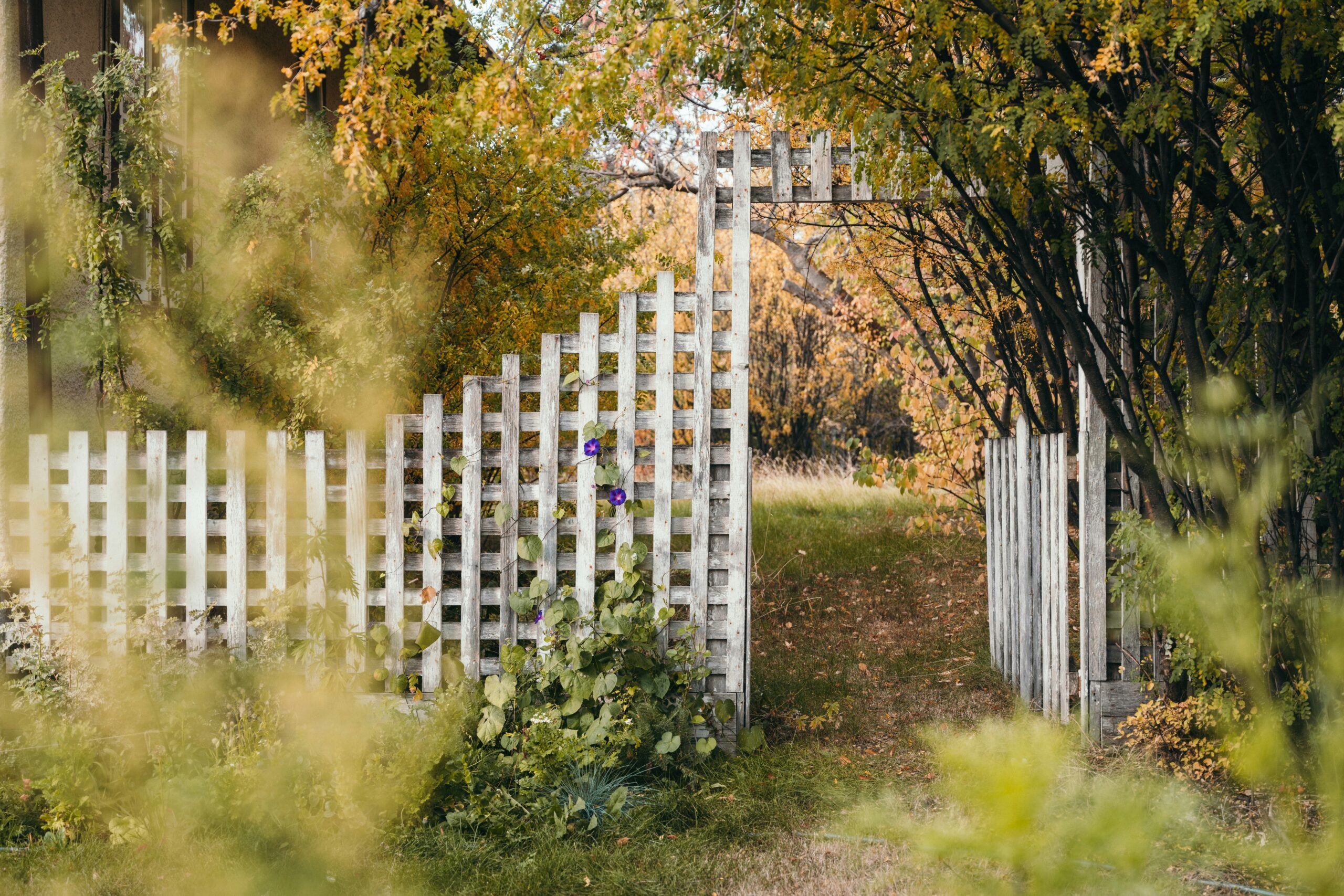 Cómo crear interés en el jardín